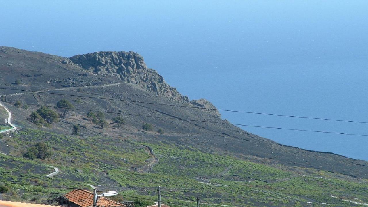 פואנקאליינטה דה לה פלמה Casa Los Vinedos B מראה חיצוני תמונה