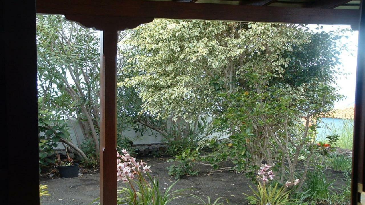 פואנקאליינטה דה לה פלמה Casa Los Vinedos B מראה חיצוני תמונה