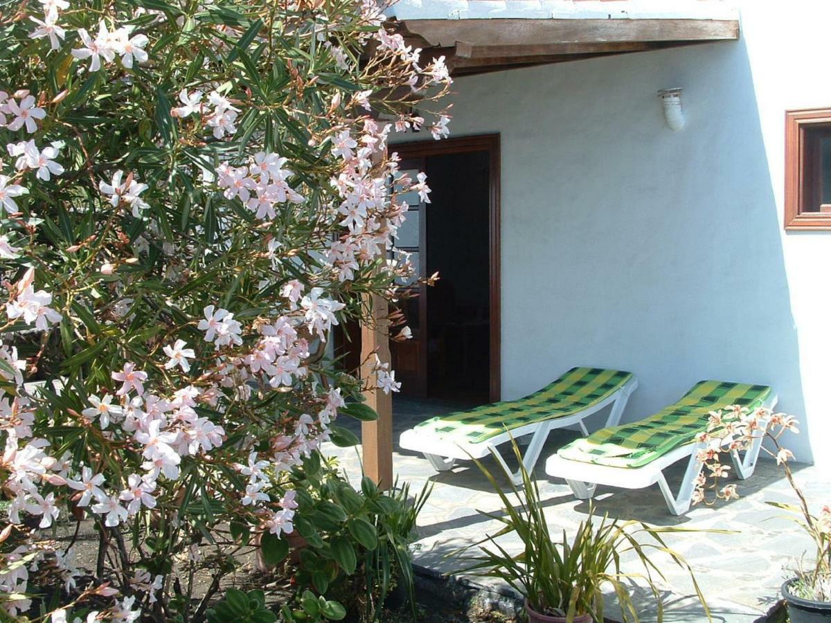 פואנקאליינטה דה לה פלמה Casa Los Vinedos B מראה חיצוני תמונה